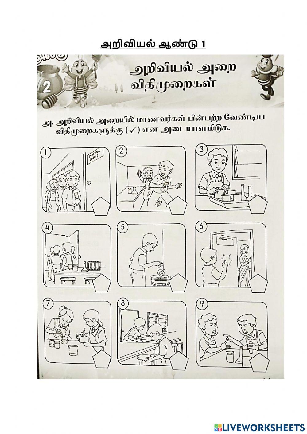 அறிவியல் ஆண்டு 1