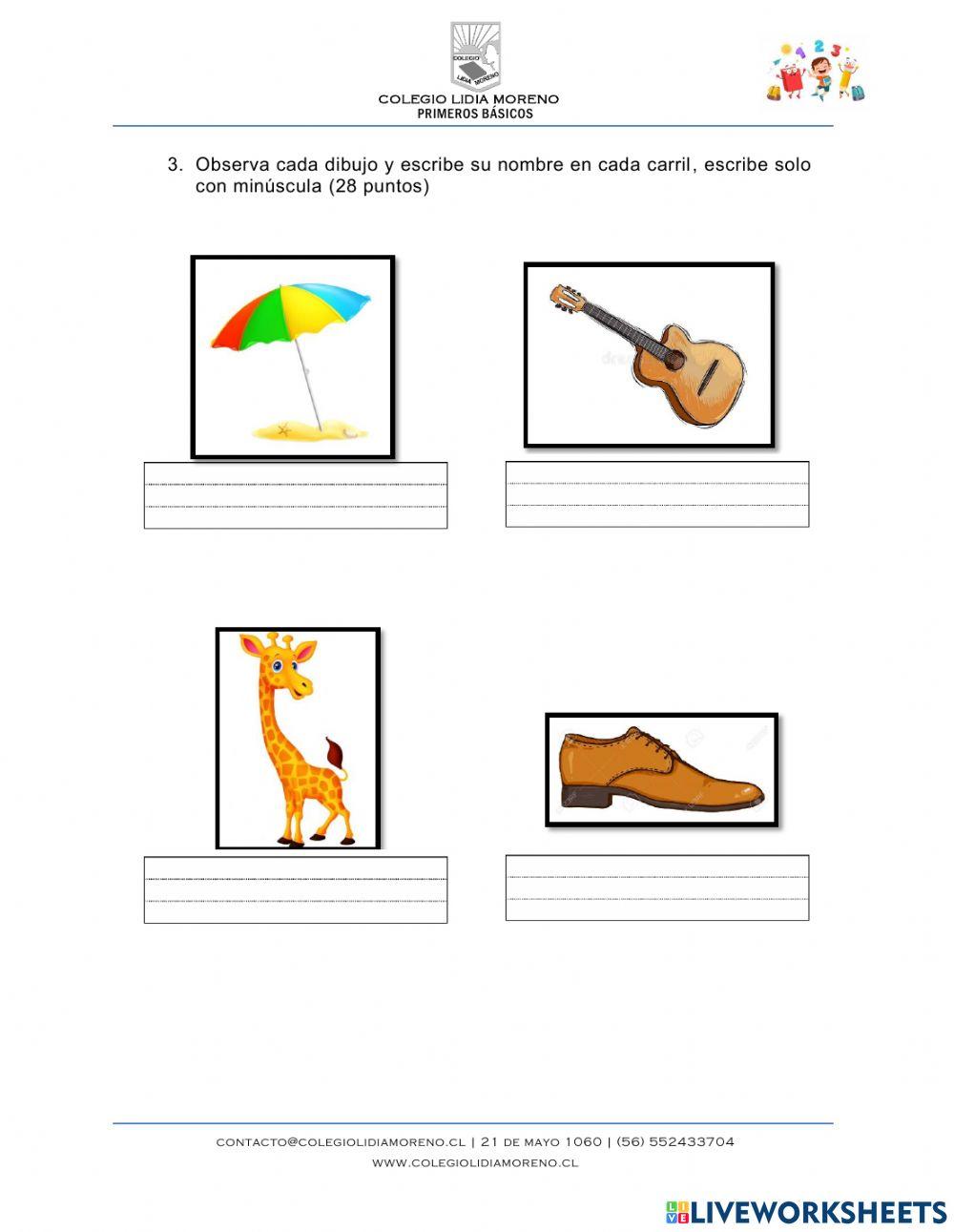 Evaluación sumativa 2 semestre 2