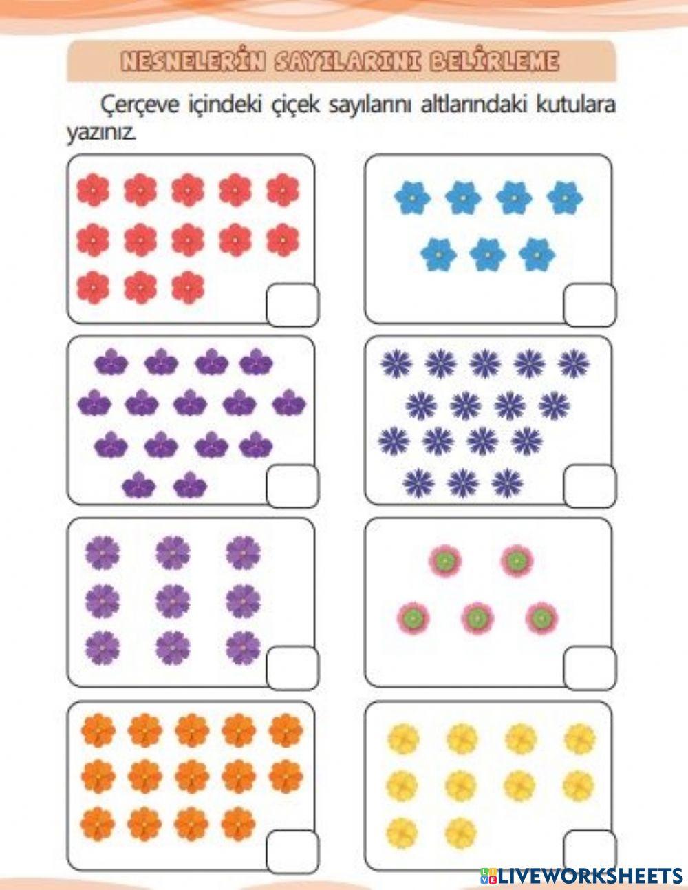 Görselleri Sayalım