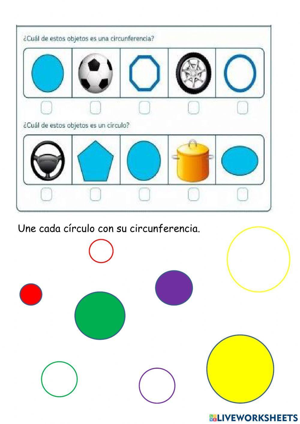 Circulo y circunferencia