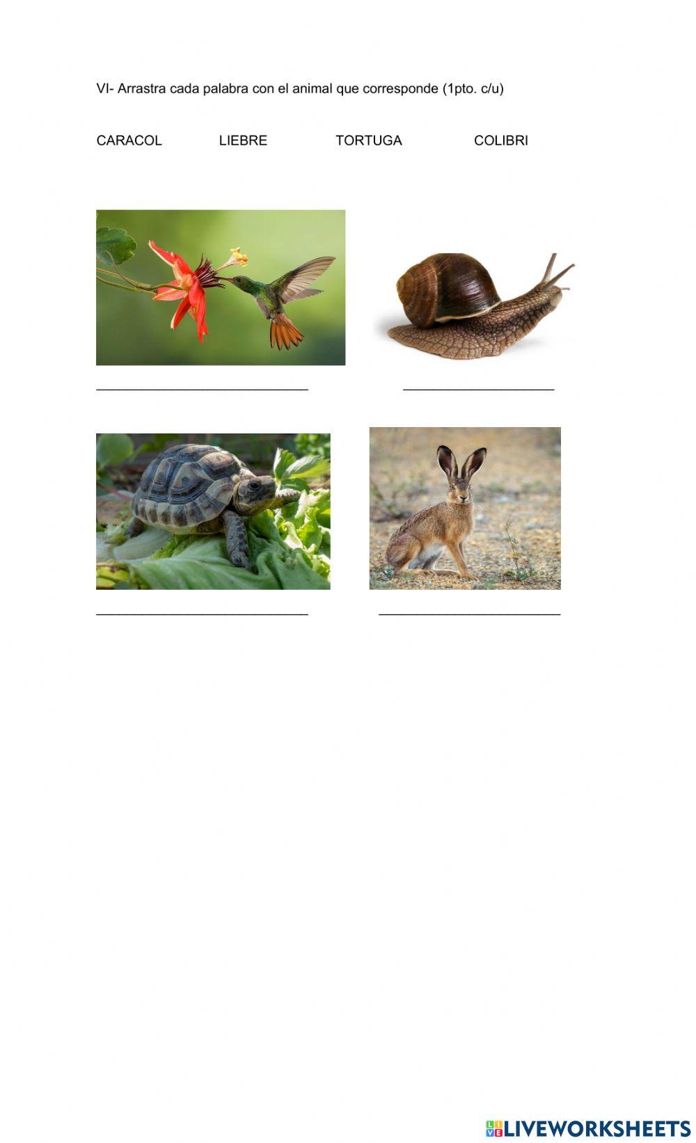 Comprensión lectora