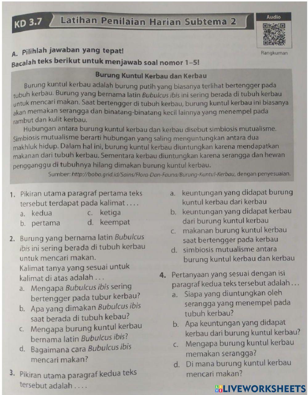Bahasa Indonesia T5 St2