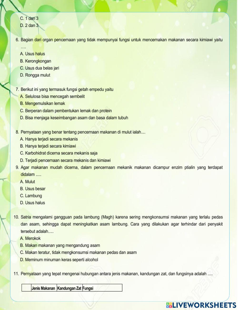 Tugas Sistem Pencernaan Makanan