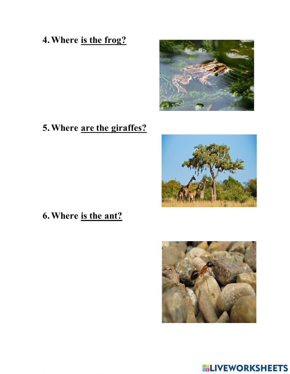 Where is it? where are they?