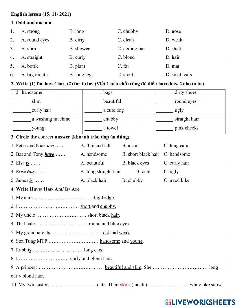 15.11 Group 3 Phân biệt have.has - be