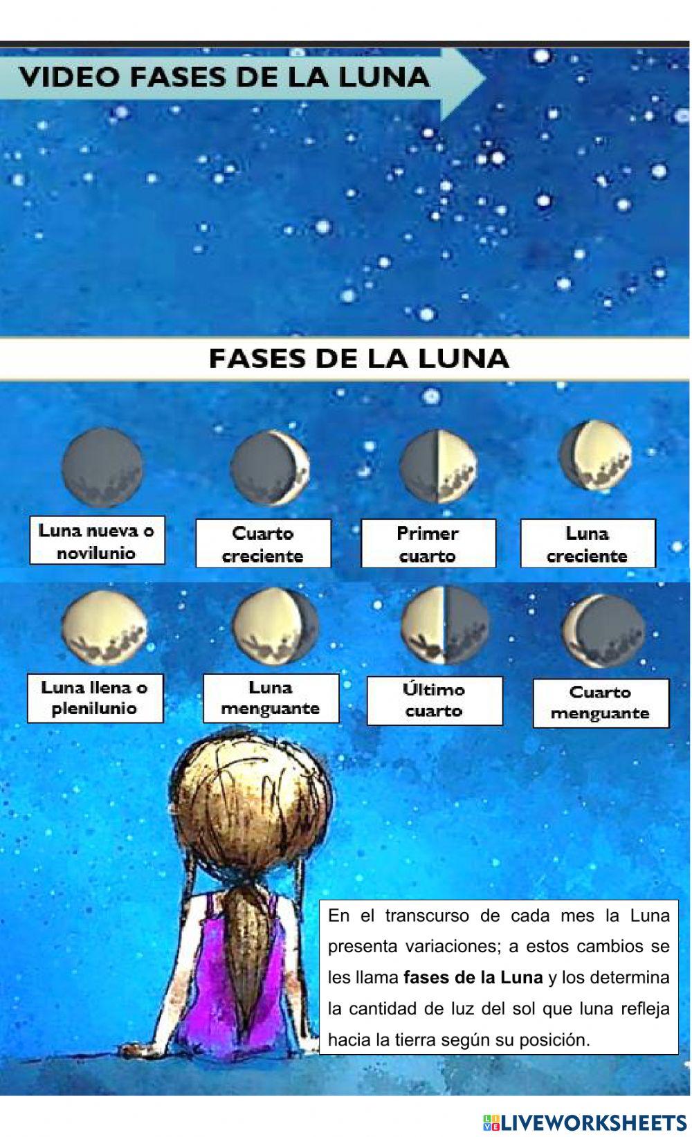 Fases Luna