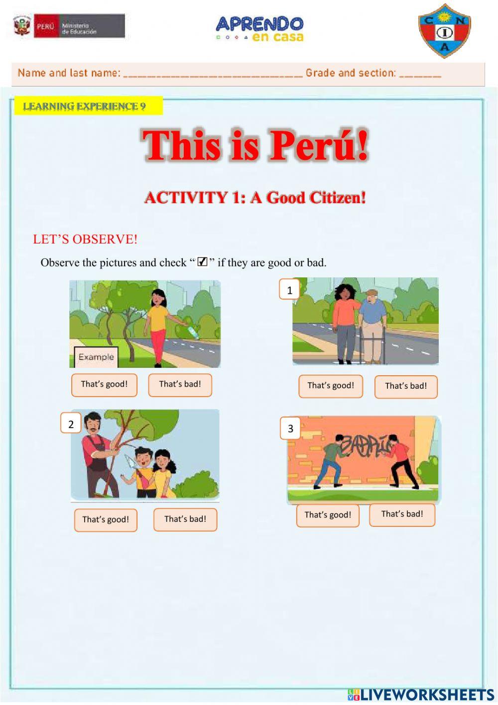 Learning Experience 9 - A-1