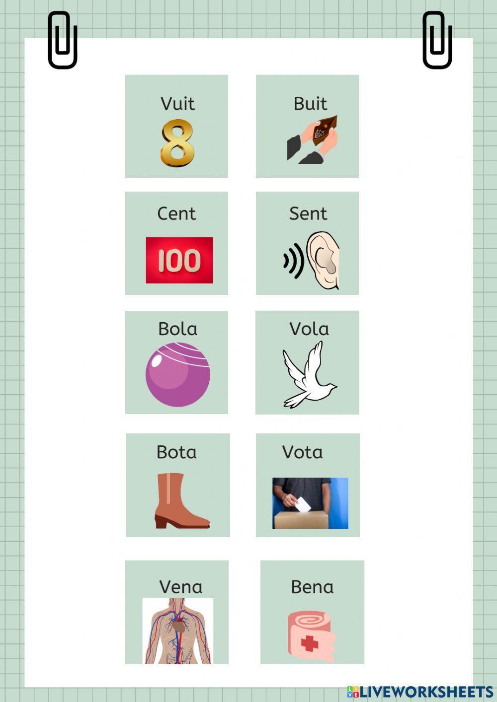 Les paraules homòfones