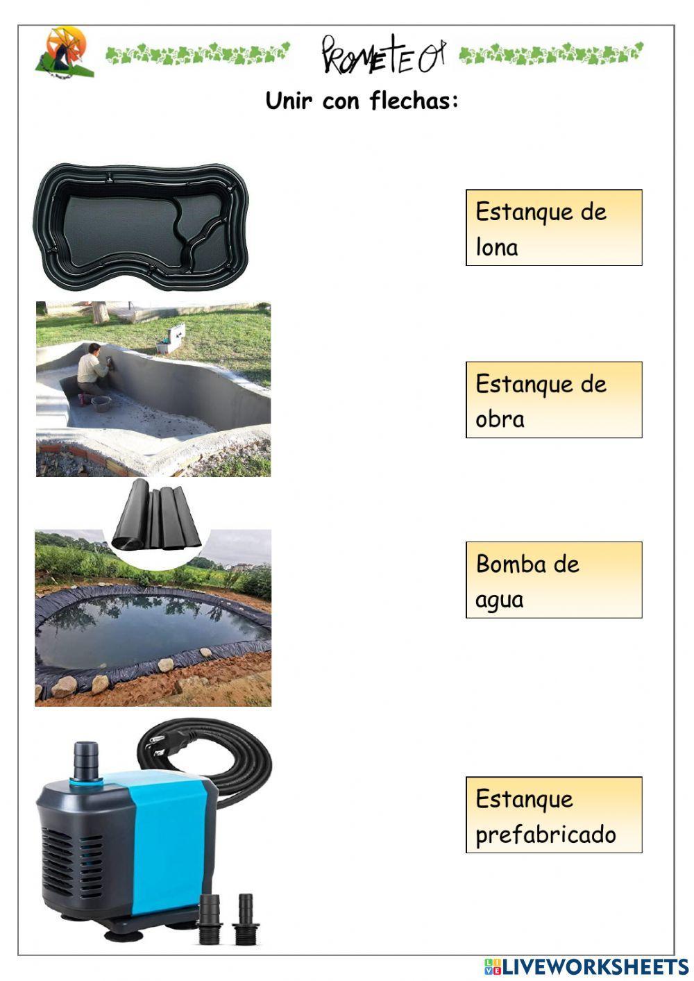 Diferentes estanques