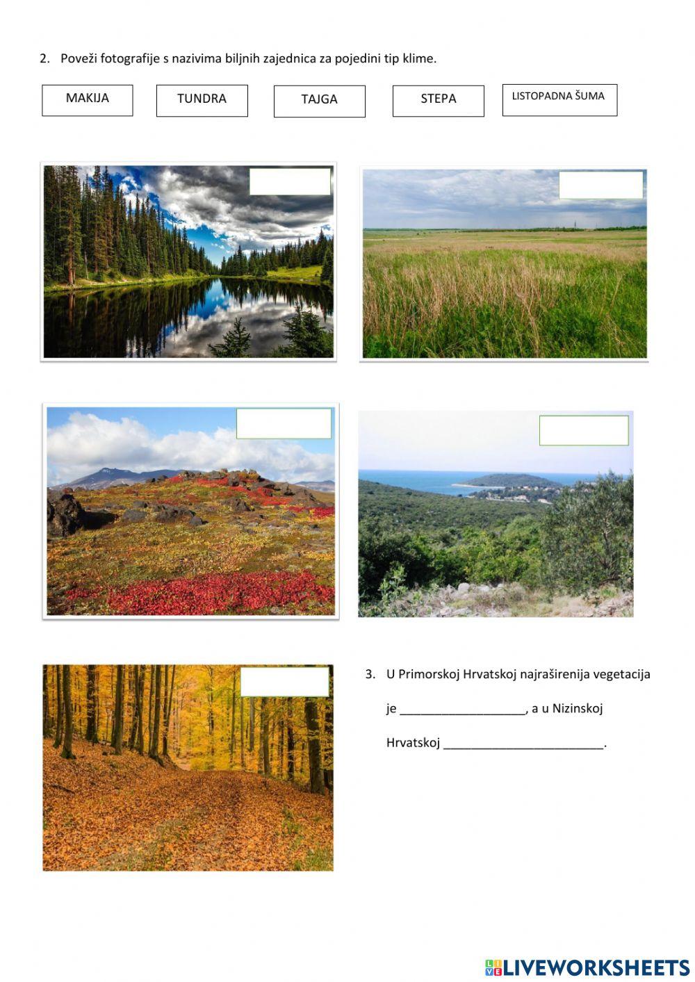 Tipovi klime i vegetacije u Europi