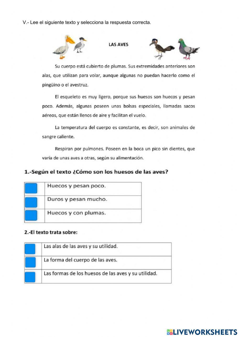 Examen de español