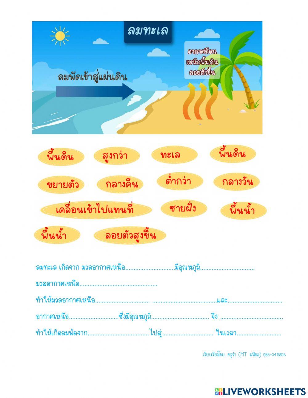 ลมบก ลมทะเล