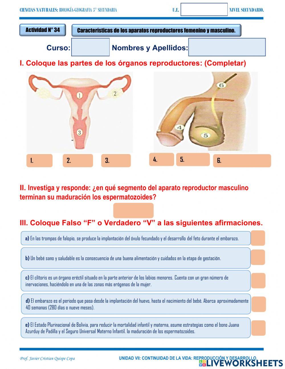 34. Continuidad de la vida