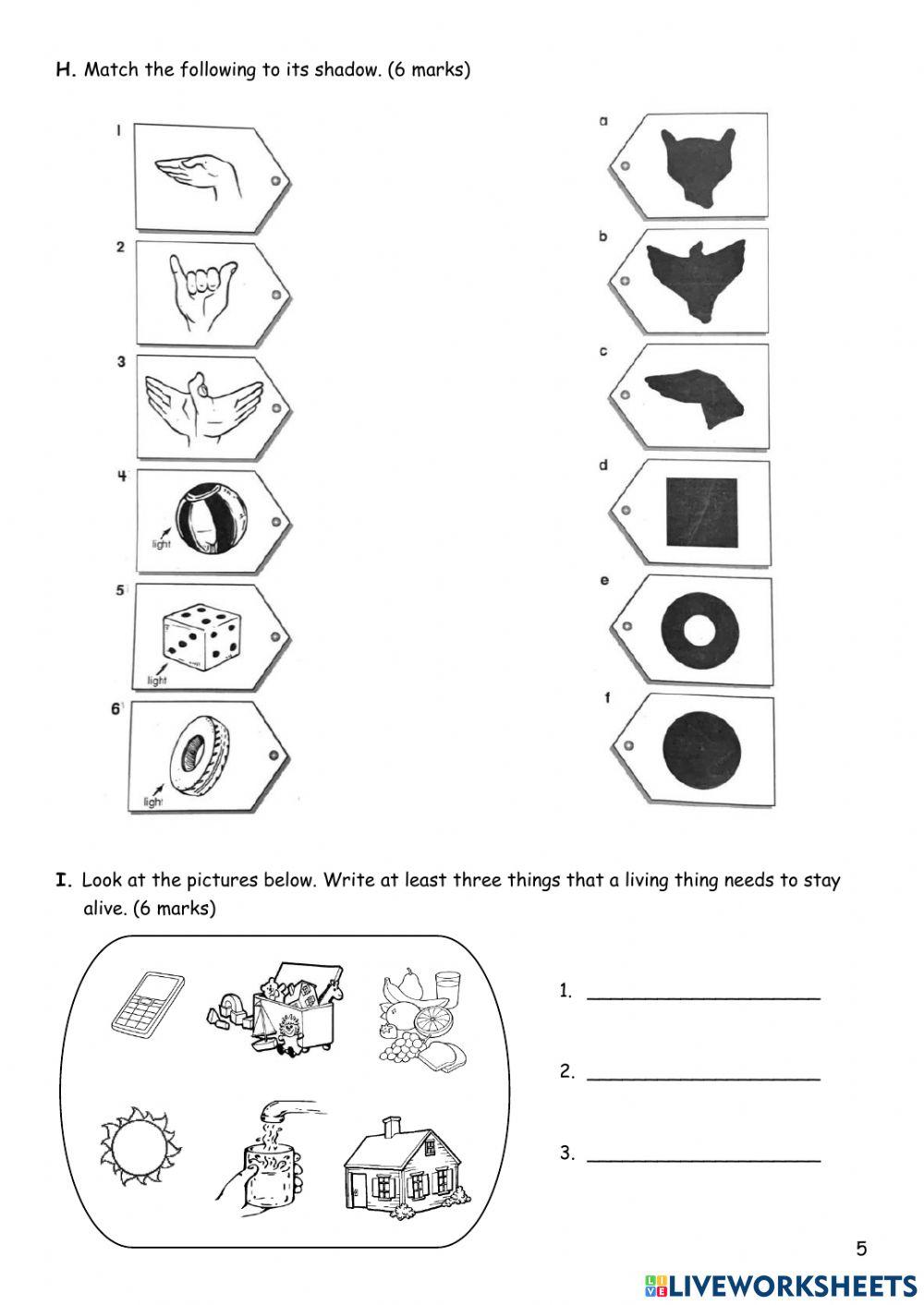 Year 2 Science End of Year Exam 2021