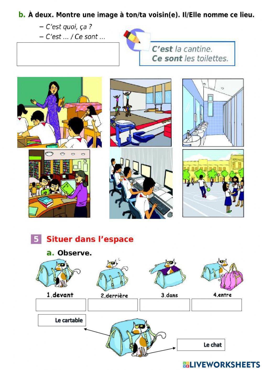 Les lieux du collège - Netado