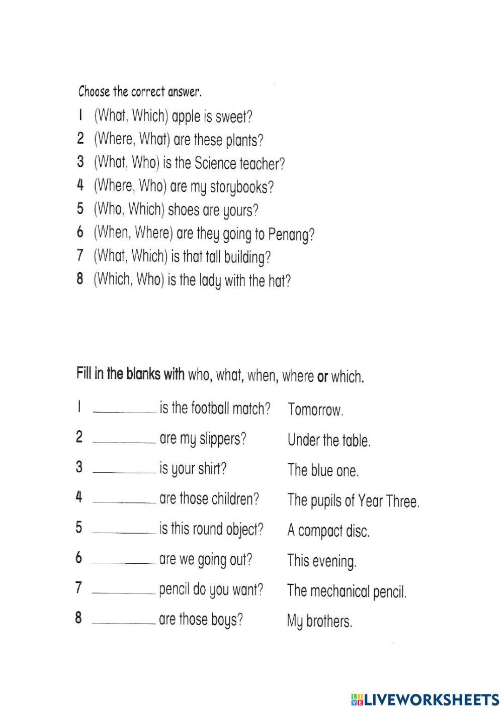 3rd Grade Interrogative Pronouns Worksheet Grade 3 Th vrogue co
