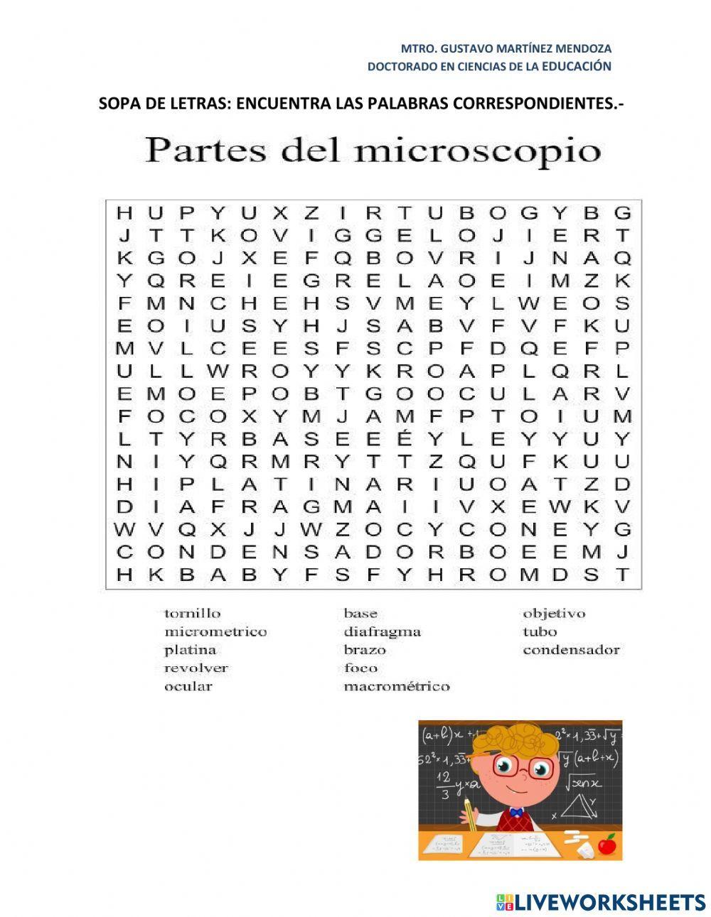 Sopa de letras