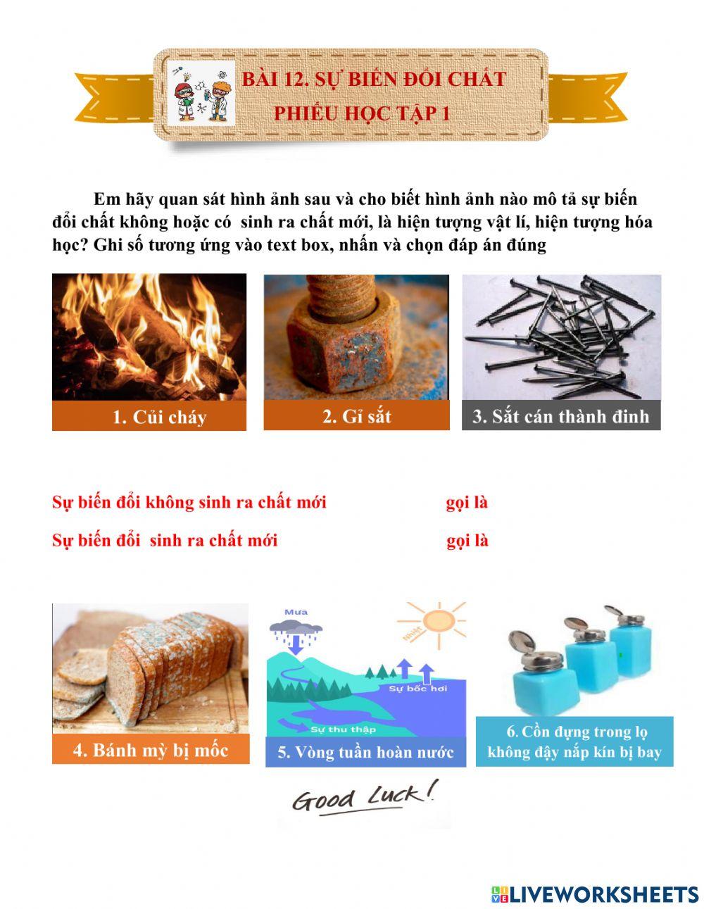 Bài 12. Sự biến đổi chất