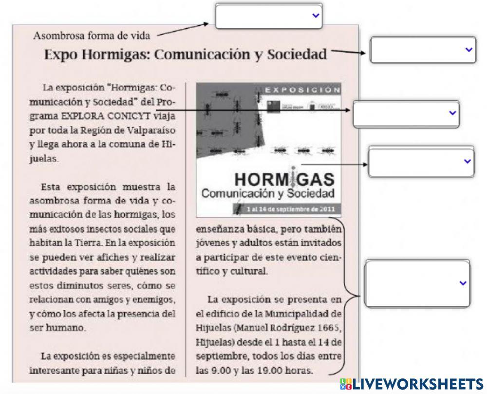 Partes de la noticia