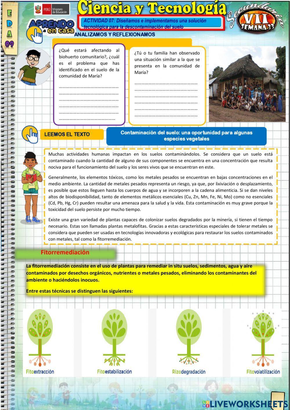 Descontaminar el suelo