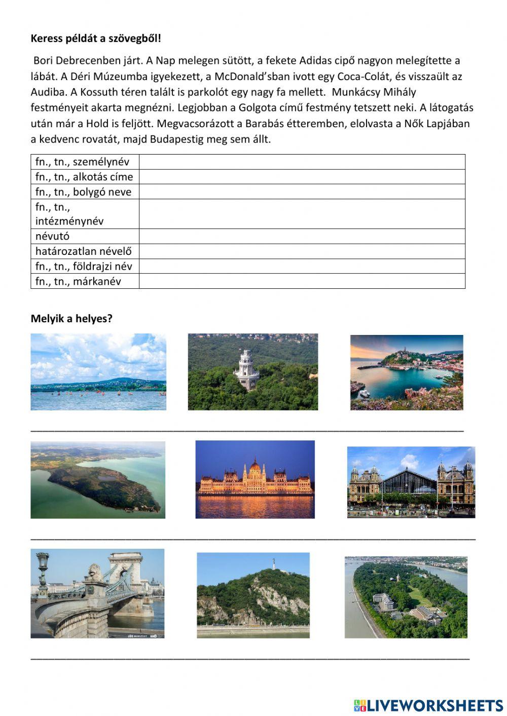 Főnév, névelő, névutó