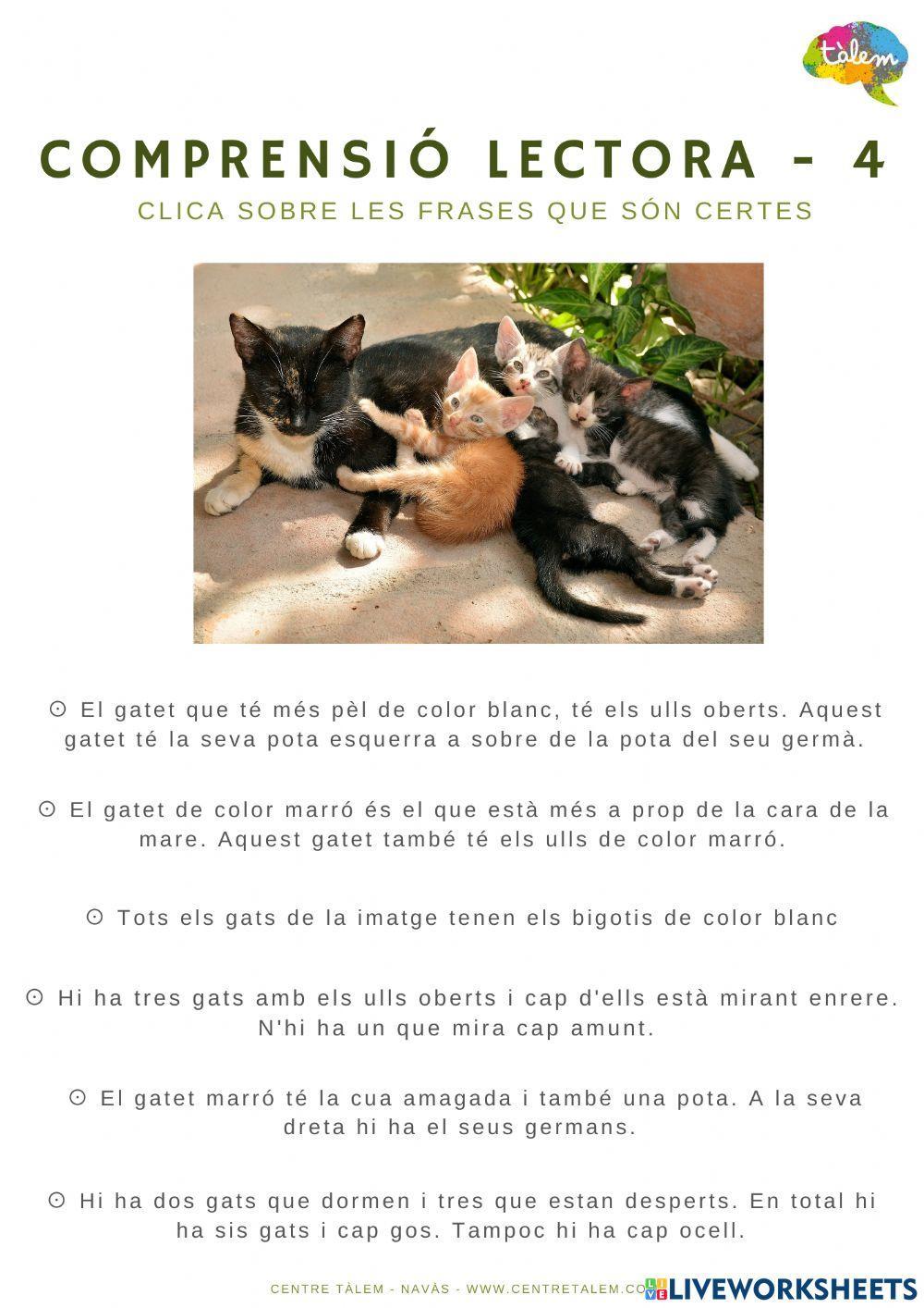 Comprensió lectora - 4