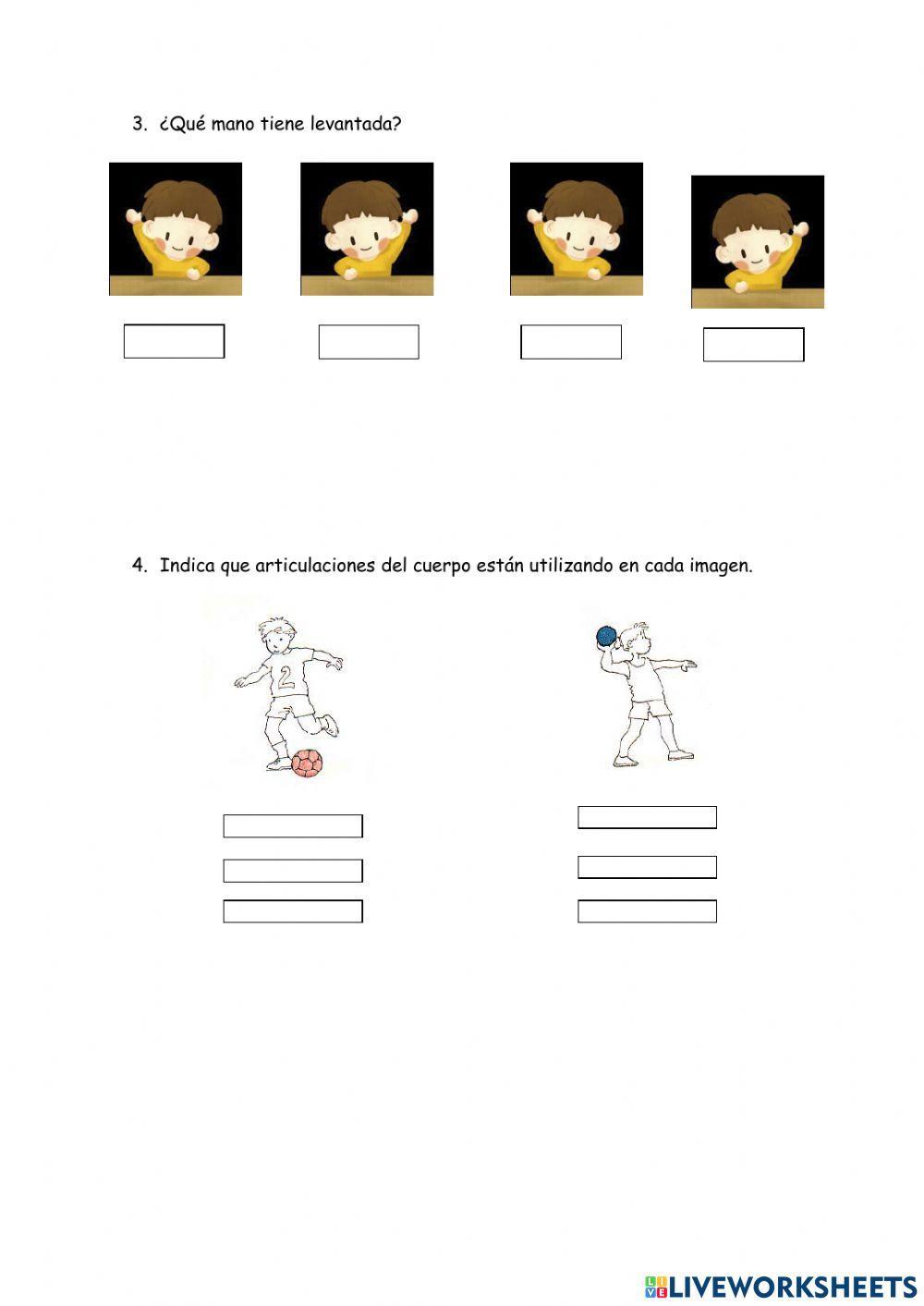 Esquema corporal y lateralidad