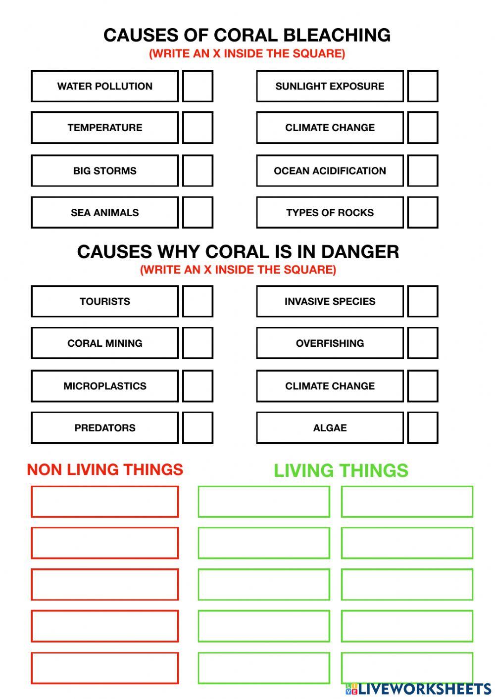 The great barrier reef