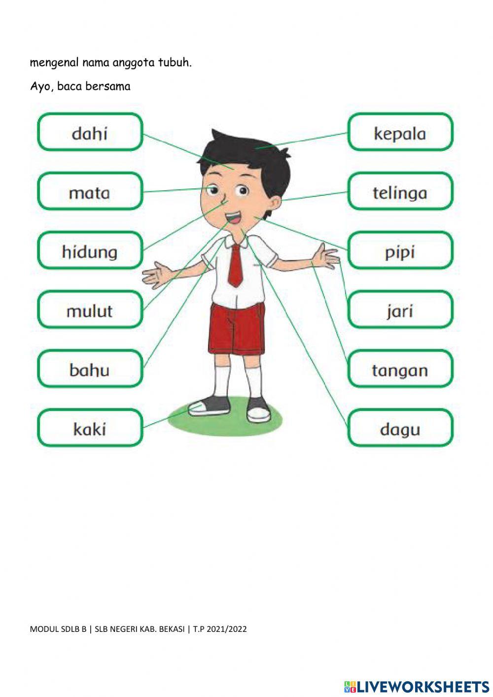 Selasa, 16 November 2021