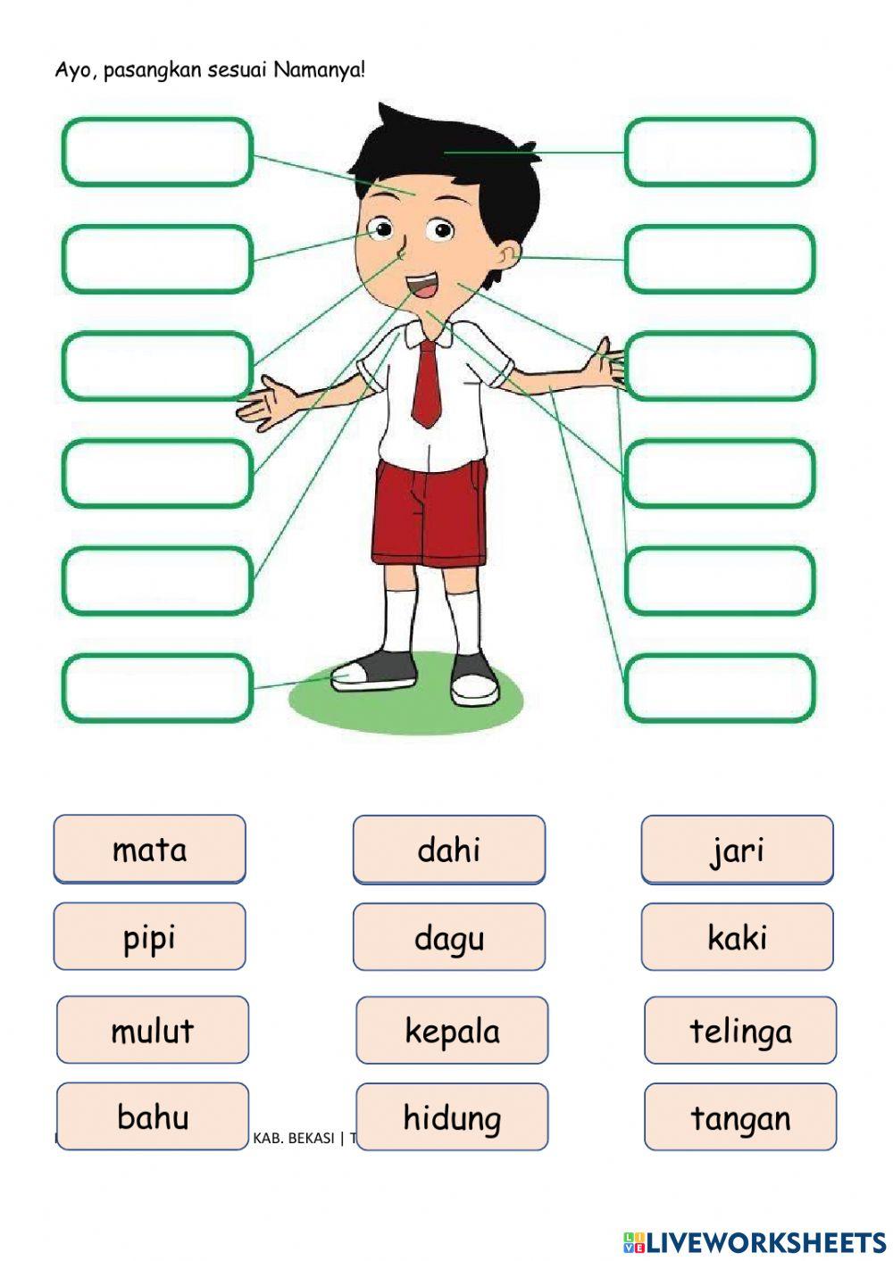 Selasa, 16 November 2021