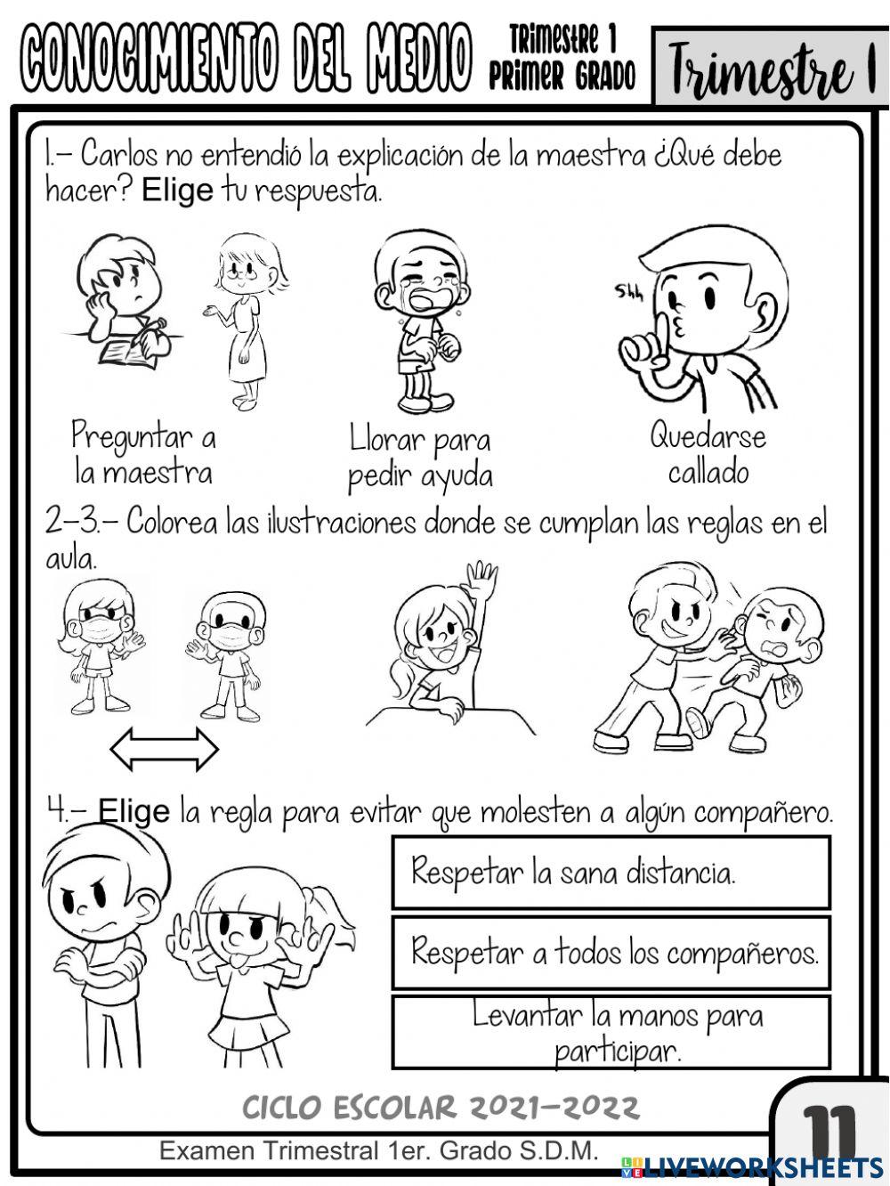 EXAMEN 1ER. TRIMESTRE CONOCIMIENTO DEL MEDIO 1ER.GRADO
