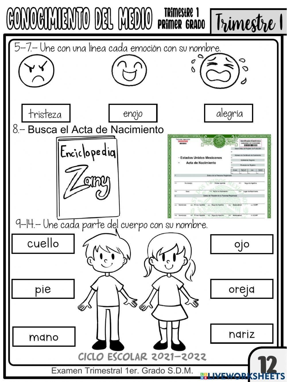 EXAMEN 1ER. TRIMESTRE CONOCIMIENTO DEL MEDIO 1ER.GRADO