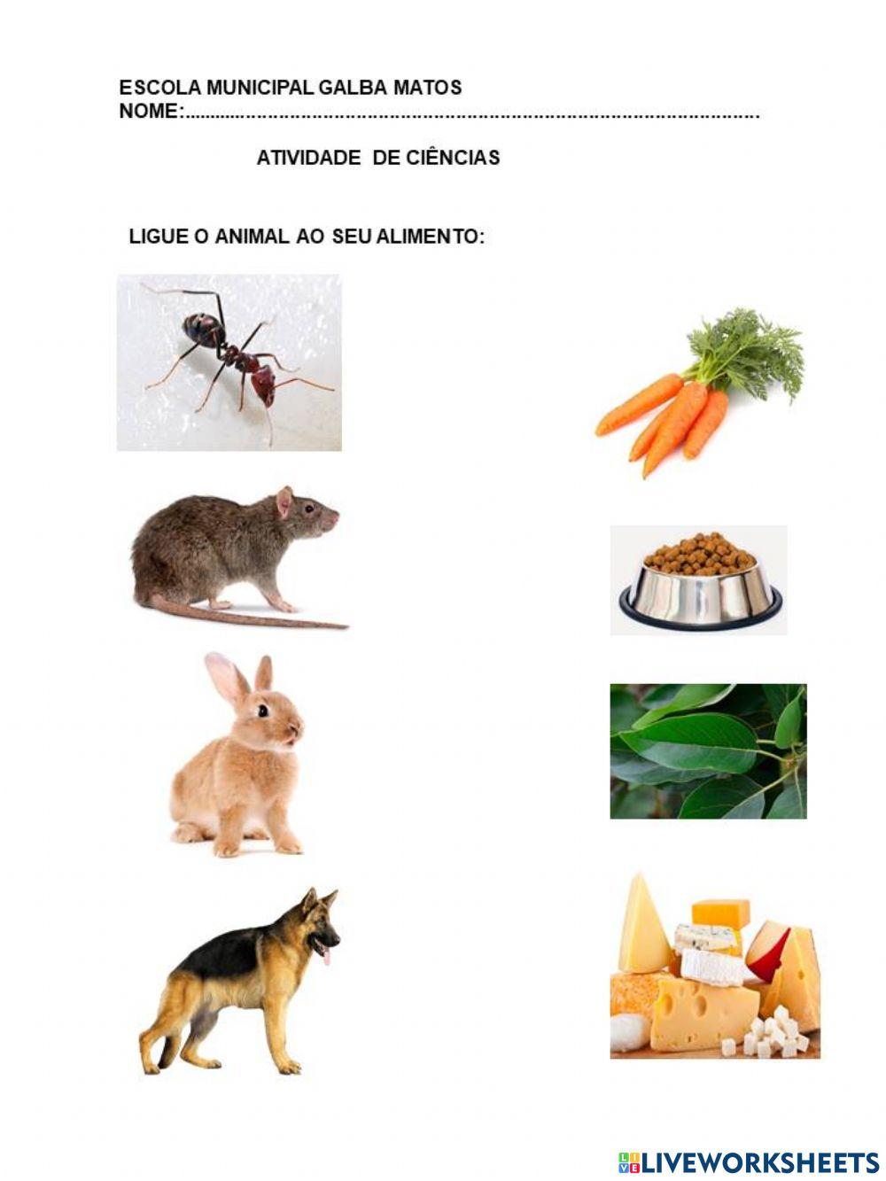 Animal e seu alimento