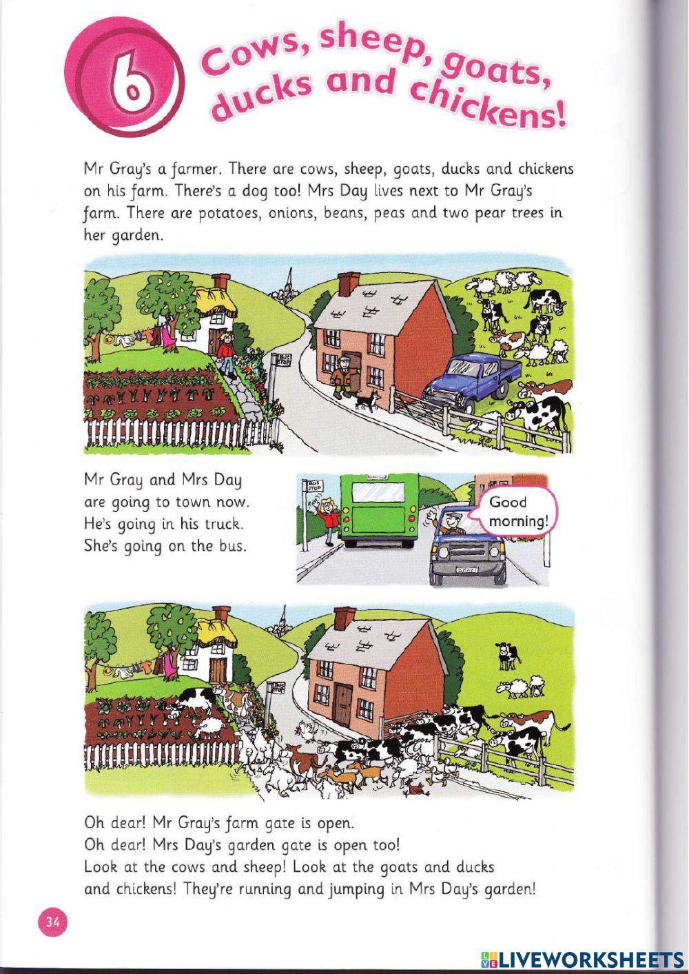 Cows, Sheep, Goats, Ducks and Chicken