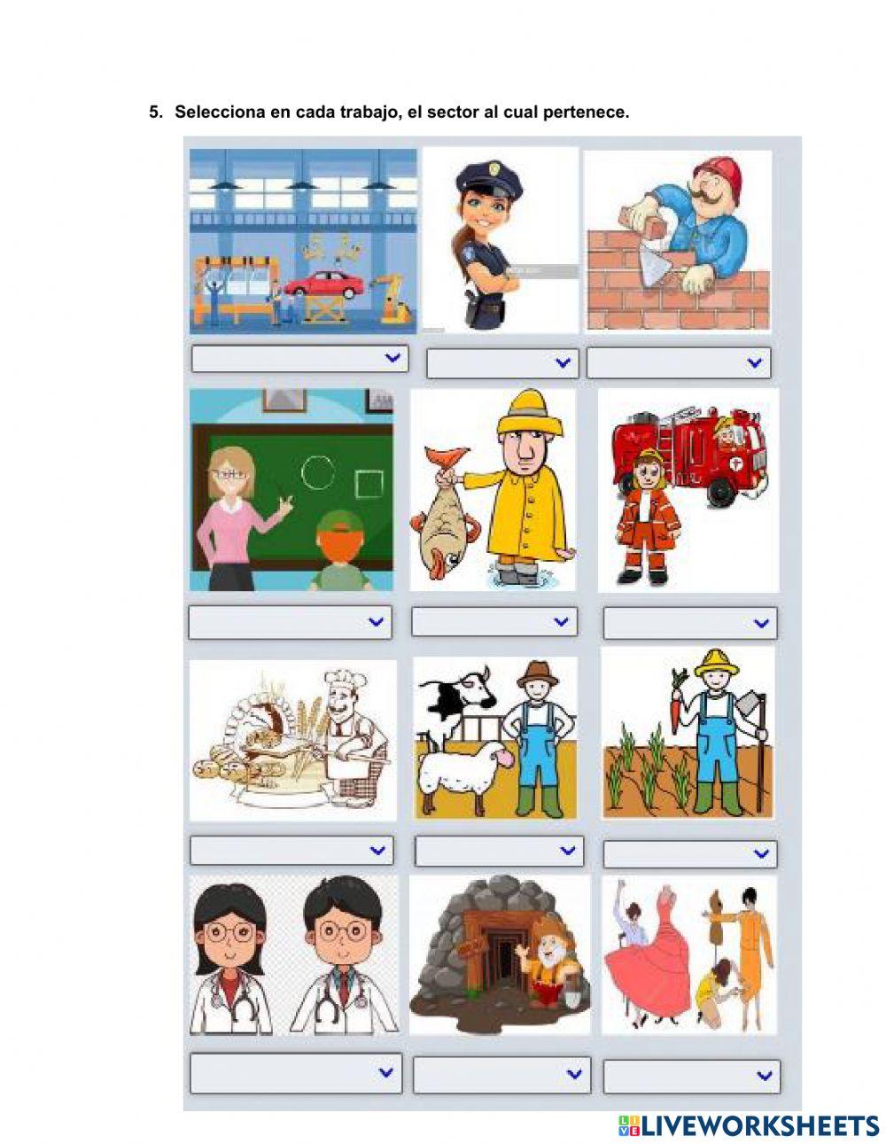 Los sectores económicos