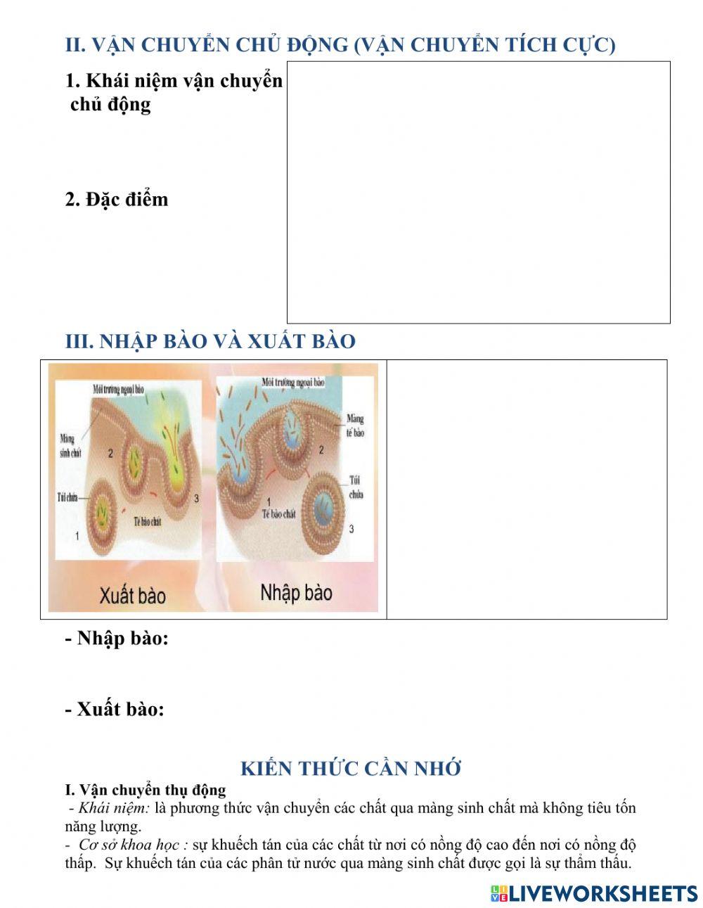 Bài 11.sinh 10. Vận chuyển các chất qua màng sinh chất