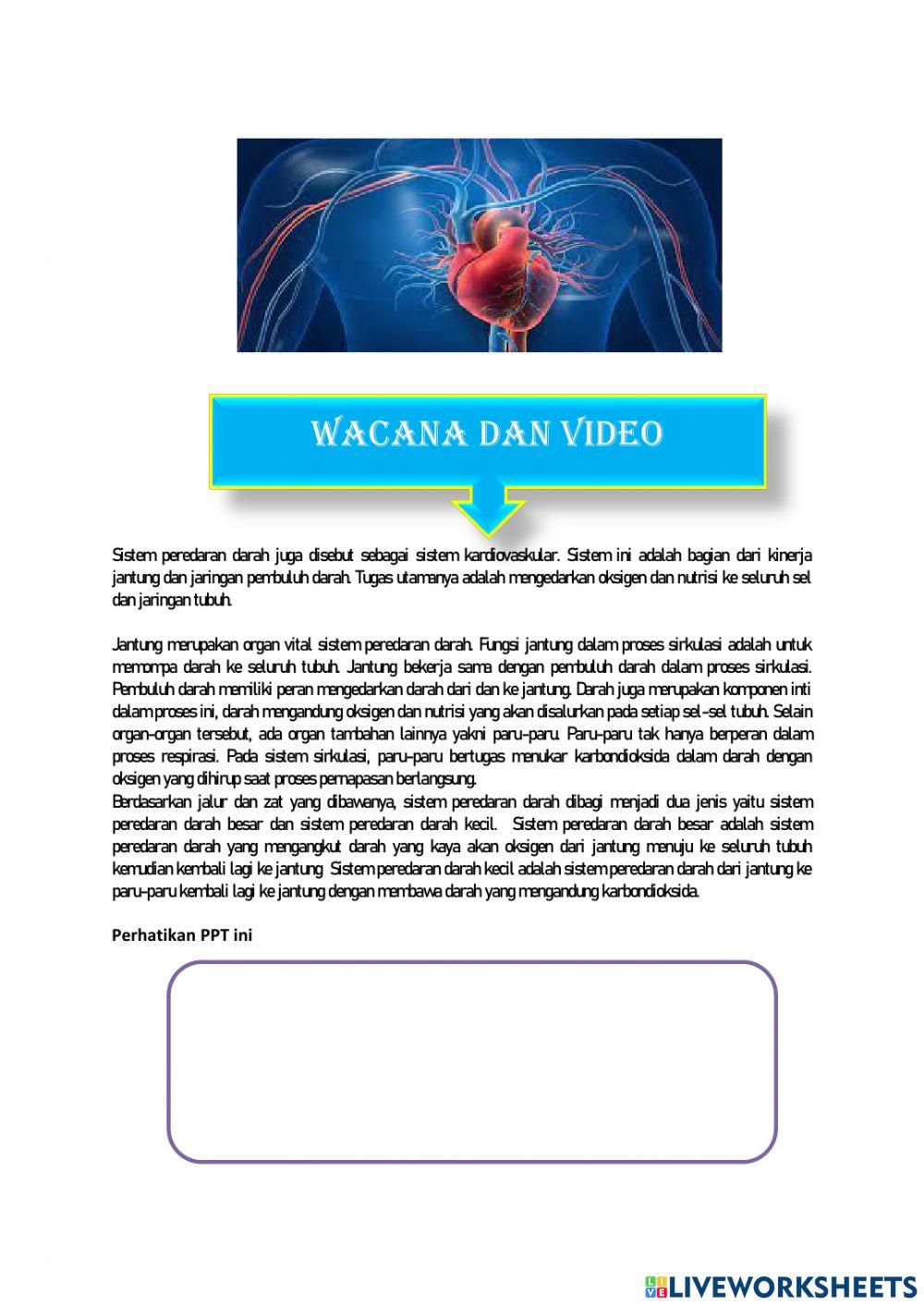 Sistem Peredaran Darah