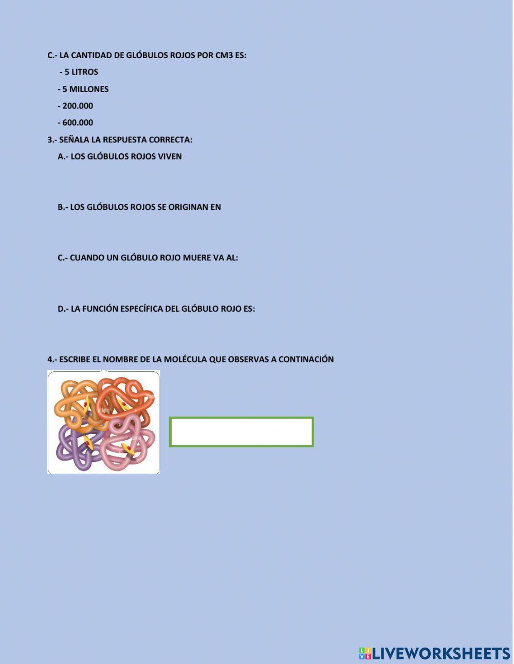 Sistema circulatorio