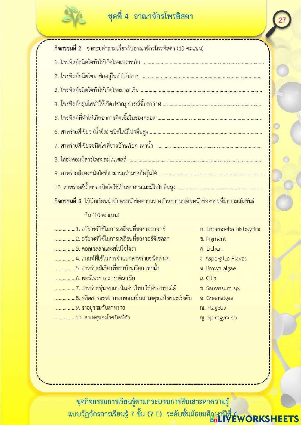แบบฝึกหัด โพรติสตา