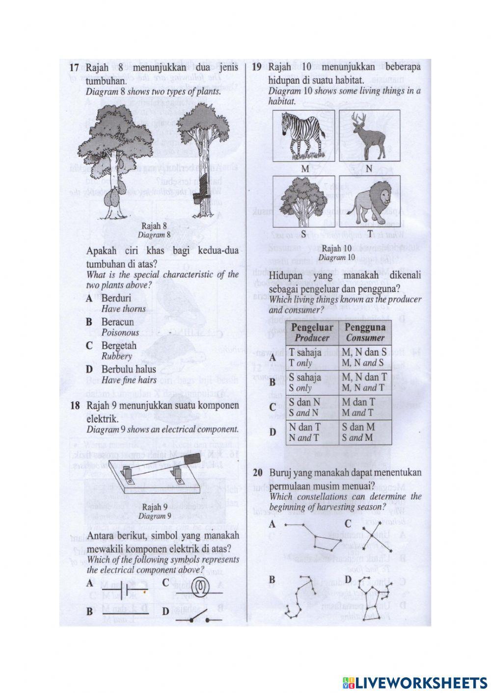 Revision science year 5 (3)