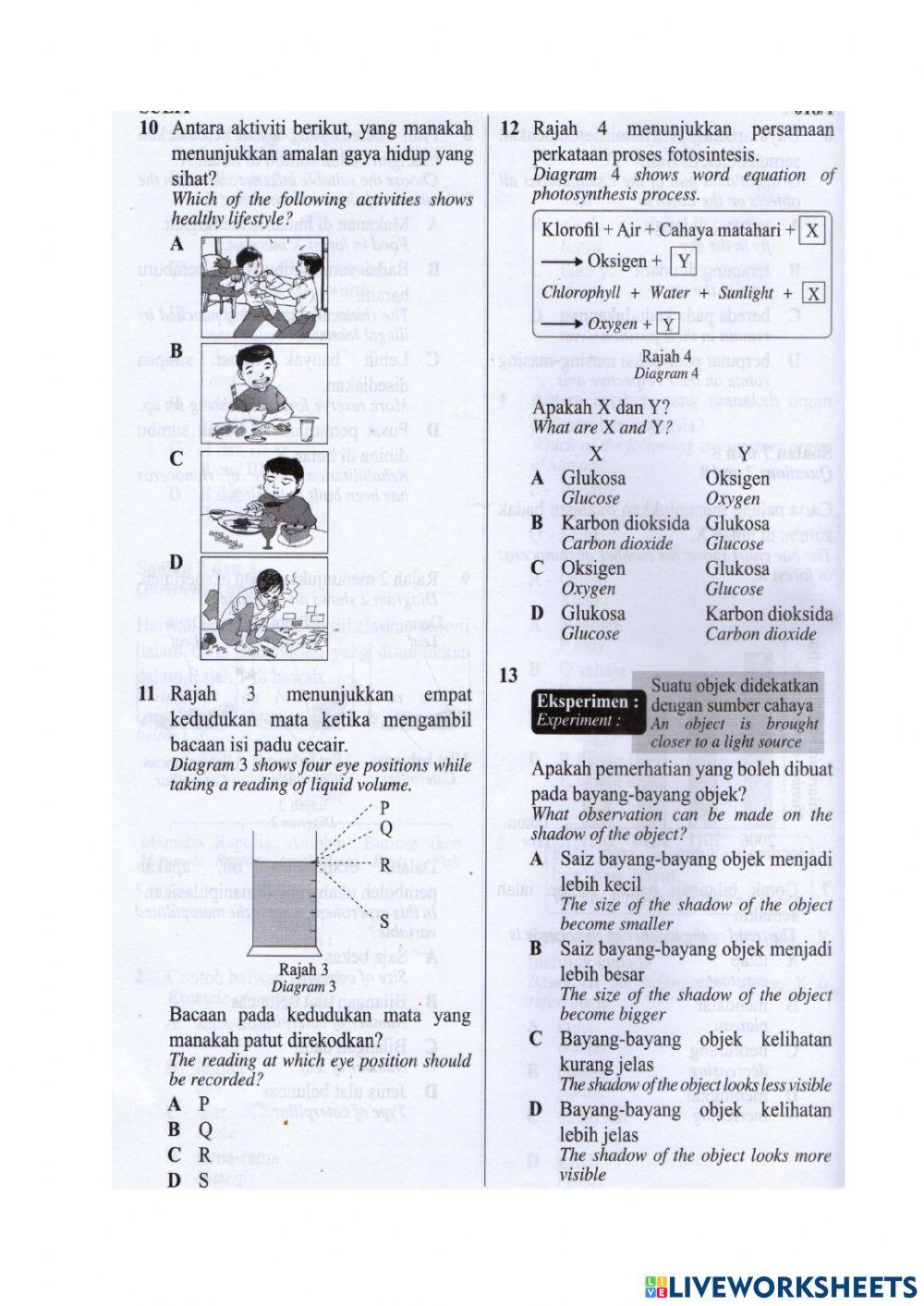 Revision science year 4 (3)