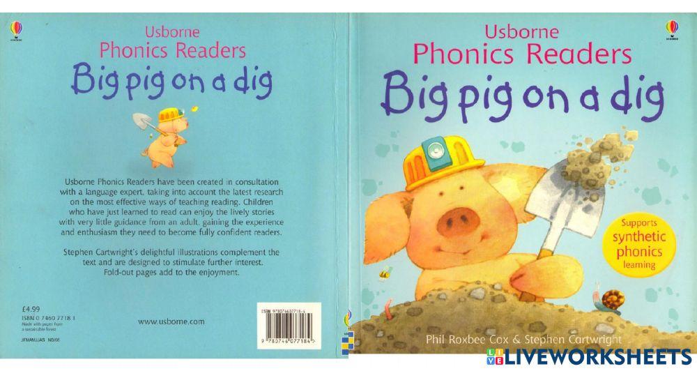 Reading 1 -i:-: Big Pig on the Dig