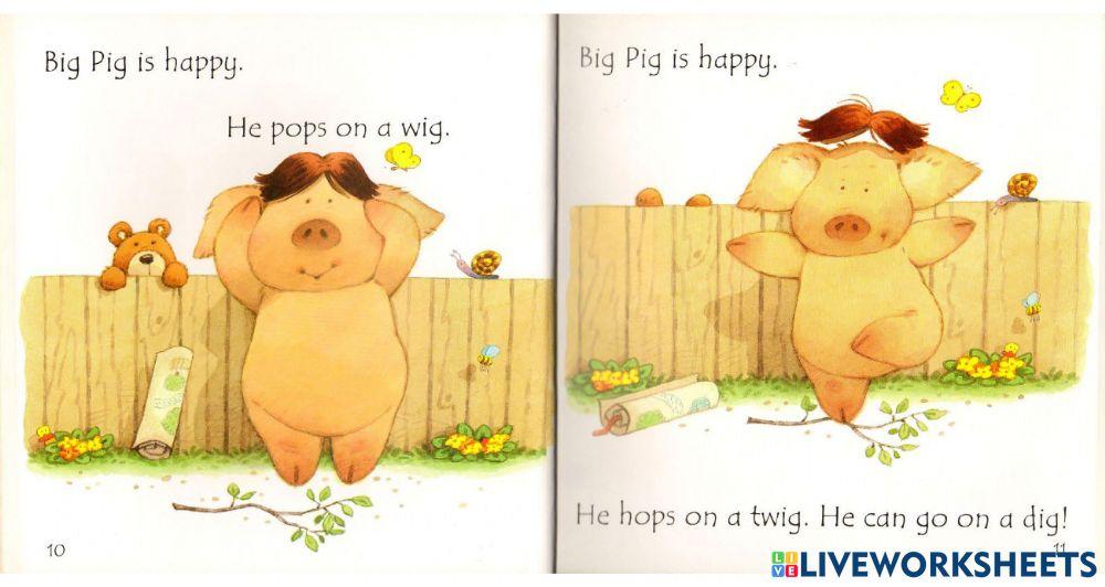Reading 1 -i:-: Big Pig on the Dig