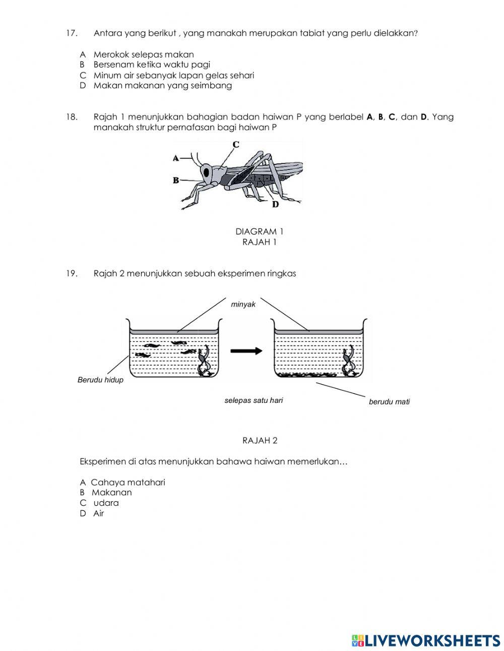 Soalan sains tahun 4
