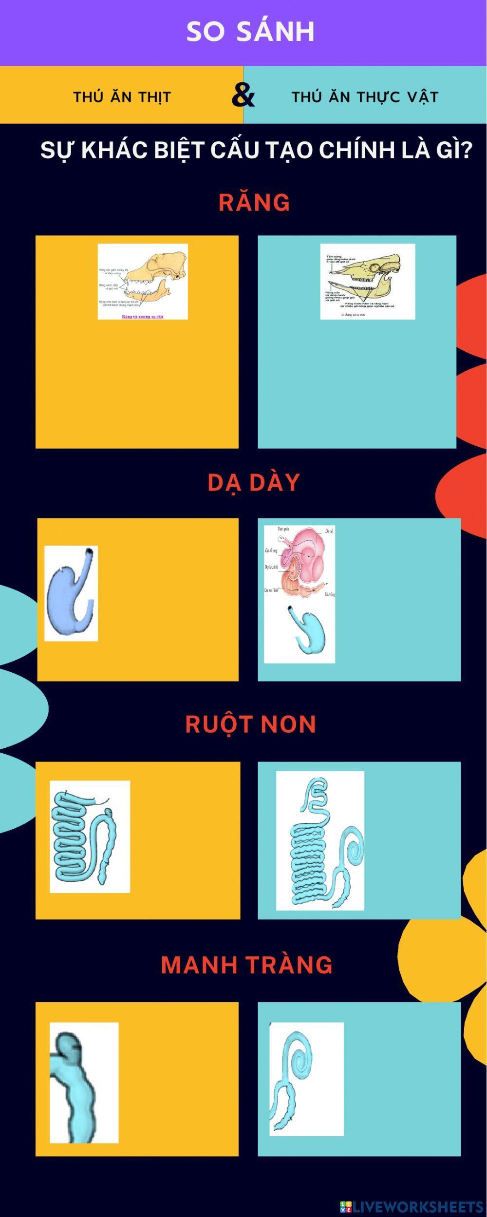 bài tập hoạt động nhóm