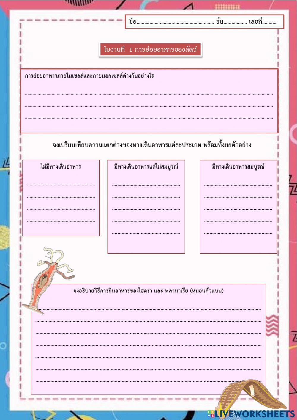 ย่อยอาหารของสัตว์