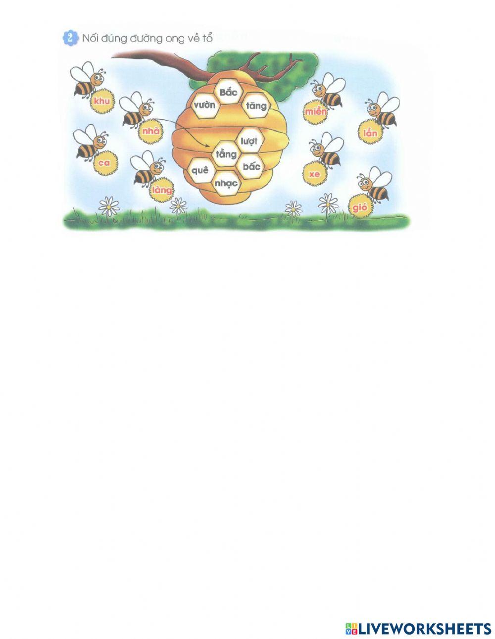 Bài tập Tiếng Việt