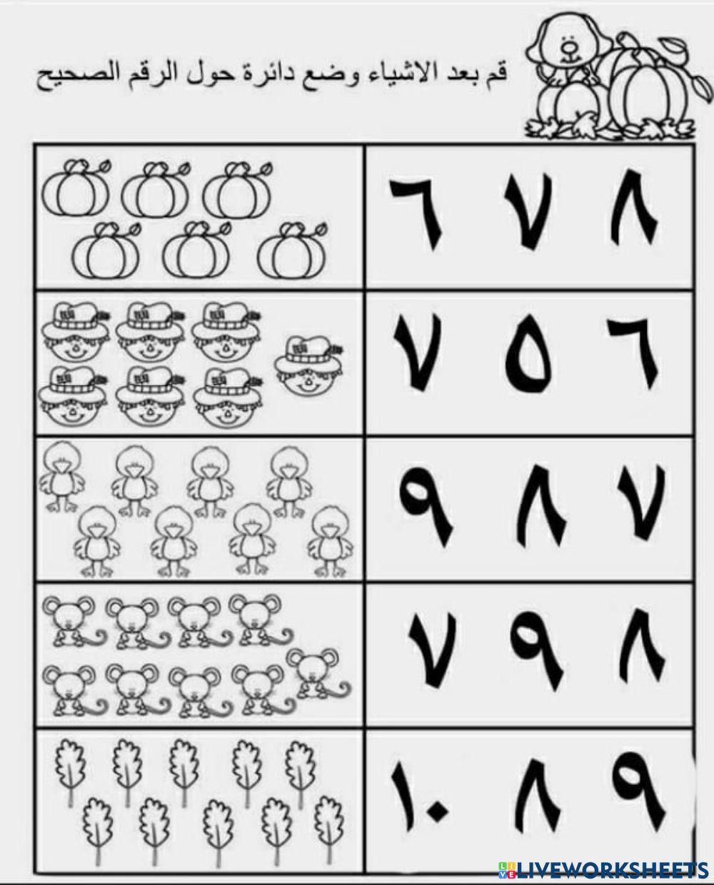 اختر العدد الصحيح