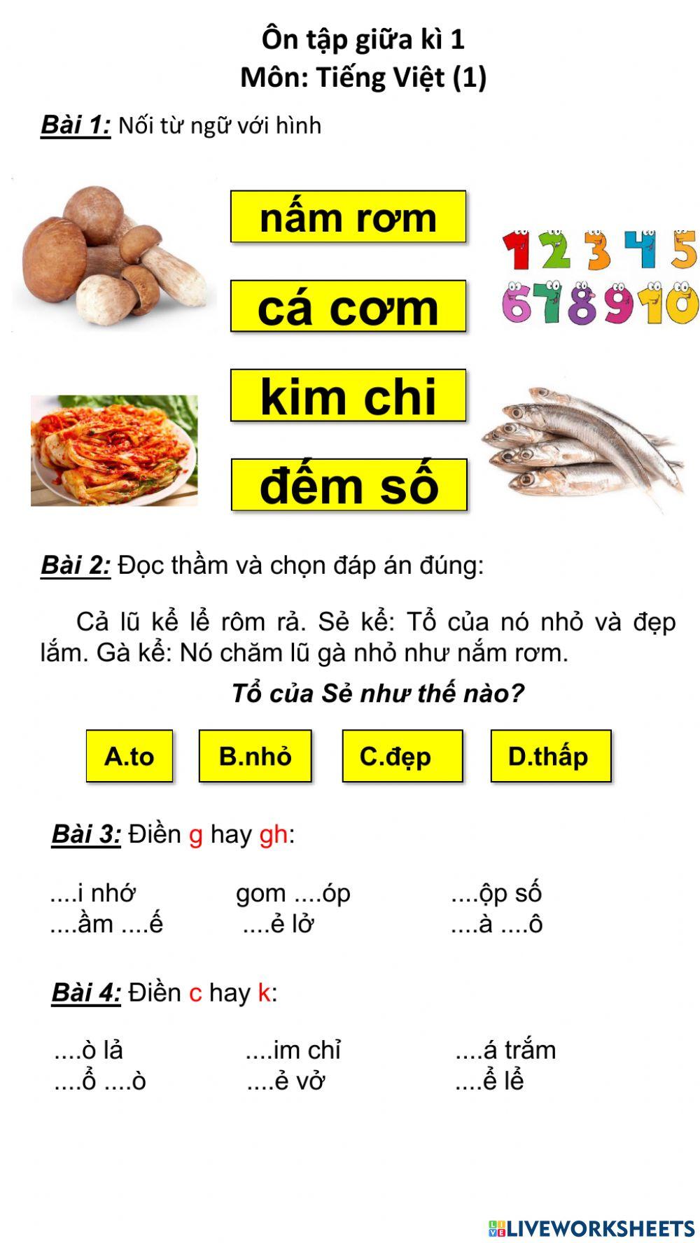 Ôn tập giữa kì 1 - môn Tiếng Việt