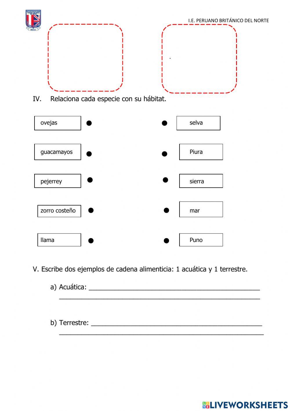 Evaluación de Ciencia